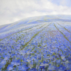 Bloom Time   2010   Acrylic on canvas   61 x 61 cm   POR