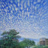 Clouds at Tampines   2017   Acrylic on canvas panel   30 x 30 cm   POR